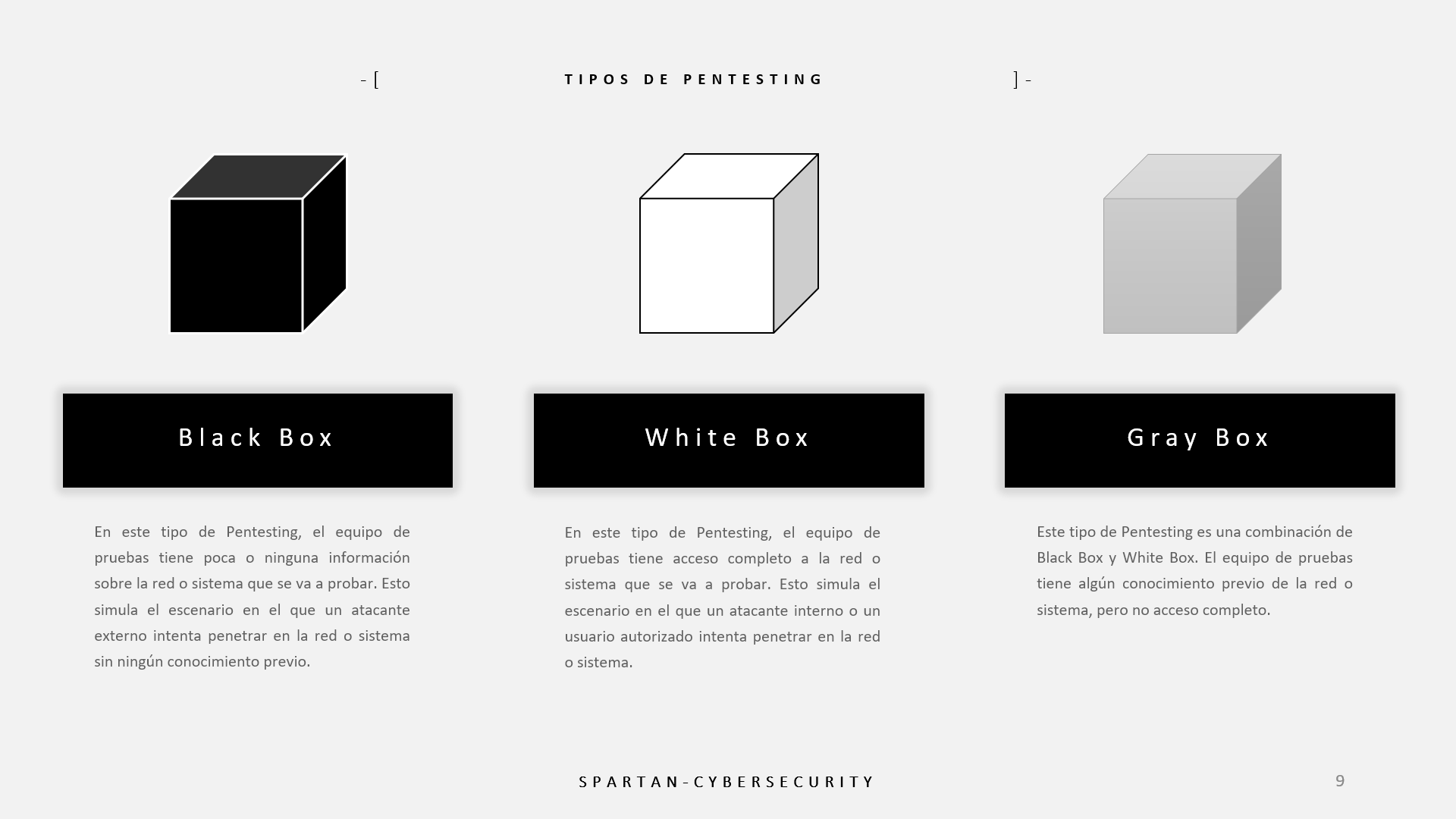 Tipos de pentesting segun informacion proporcionada